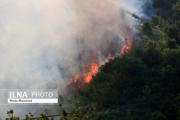 آتش‌سوزی در جنگل‌های &quot;بولی&quot;  اعزام نیروهای امدادی و مردمی به منطقه  نیاز مبرم به تجهیزات به روز اطفاء حریق