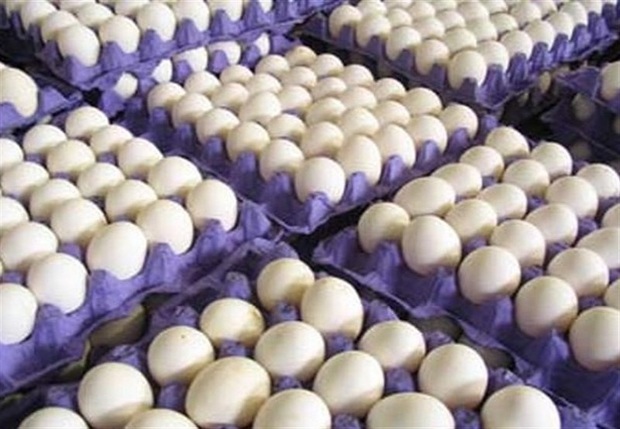 50 درصد تخم مرغ تولیدی خراسان جنوبی مازاد نیاز است