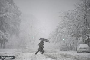 منتخب تصاویر امروز جهان- 14 دی 1400