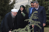 غرس نهال به مناسبت گرامیداشت هفته منابع طبیعی و روز درختکاری