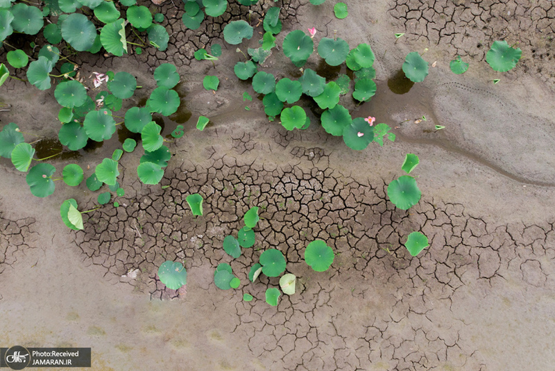 منتخب تصاویر امروز جهان- 2 مرداد 1400