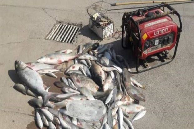 متخلفان صید ماهی با موتور برق در سردشت دستگیر شدند