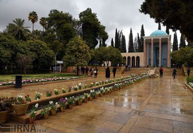 معلمی که سعدی شد!