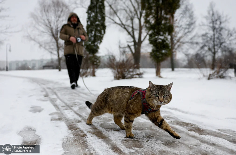 منتخب تصاویر امروز جهان - 18 فروردین 1404