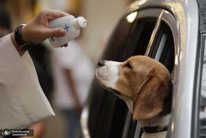 منتخب تصاویر امروز جهان- 14 مهر