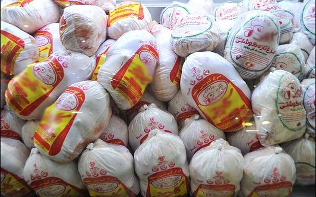 قرارداد خرید ۵۷۰ تن مرغ منجمد در کردستان امضا شد