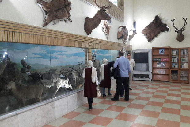 بازدید از موزه تاریخ طبیعی زنجان در 4 روز اول سال رایگان است