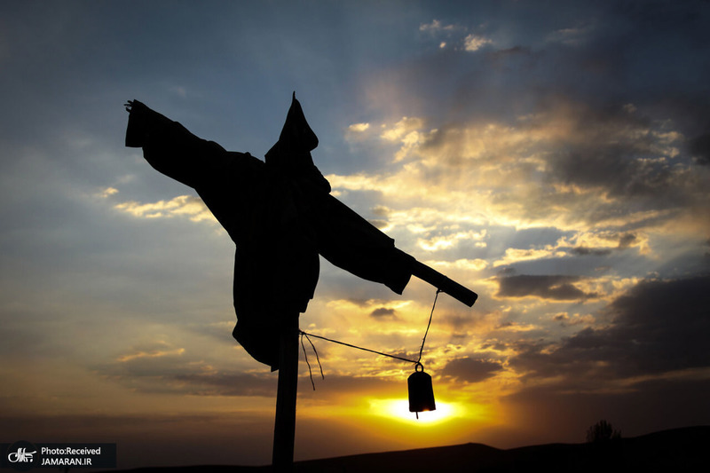 منتخب تصاویر امروز جهان- 12 مرداد