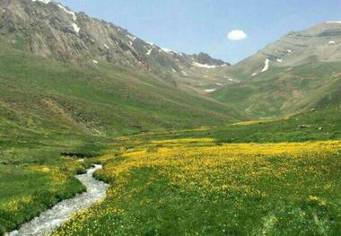 یکسال به نام مراتع در جهان نامگذاری شود