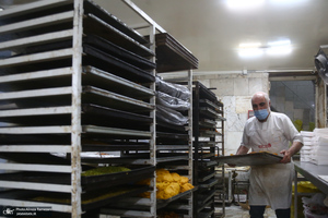 کارگاه تولید زولبیا و بامیه