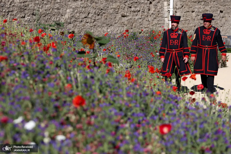 منتخب تصاویر امروز جهان - 14 تیر 1401