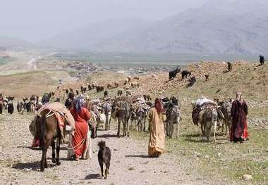 کوچ 500 خانوار عشایر به مناطق ییلاقی دماوند، پلور و لار آغاز شد