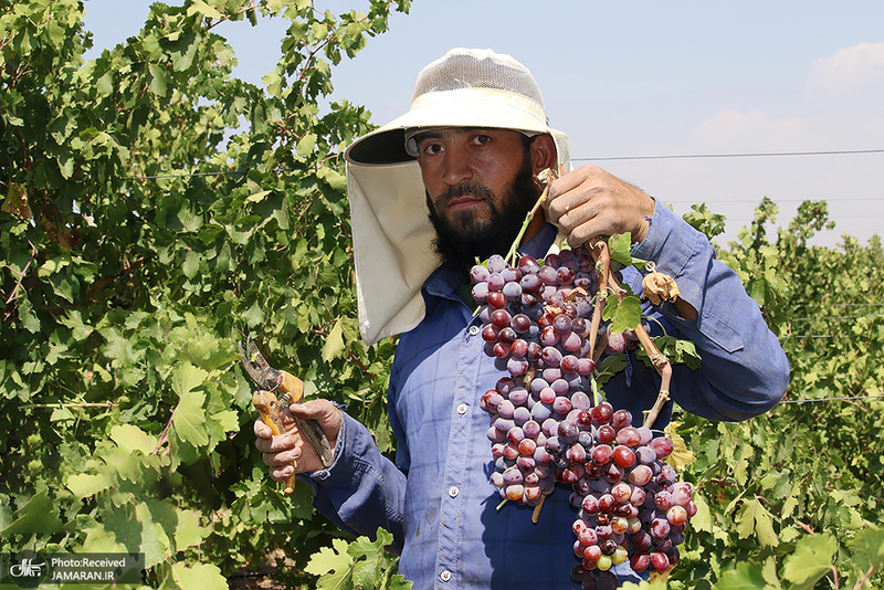 منتخب تصاویر امروز جهان- 18 شهریور