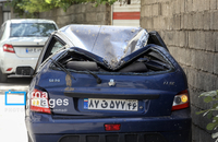 171953899_AV4W7747-copy