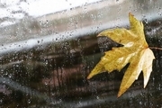 بارش فصل پاییز زنجان نرمال پیش بینی شده است