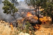 ۴ کشته و تعدادی مصدوم در آتش‌سوزی مراتع مریوان  آتش‌سوزی در حال گسترش است