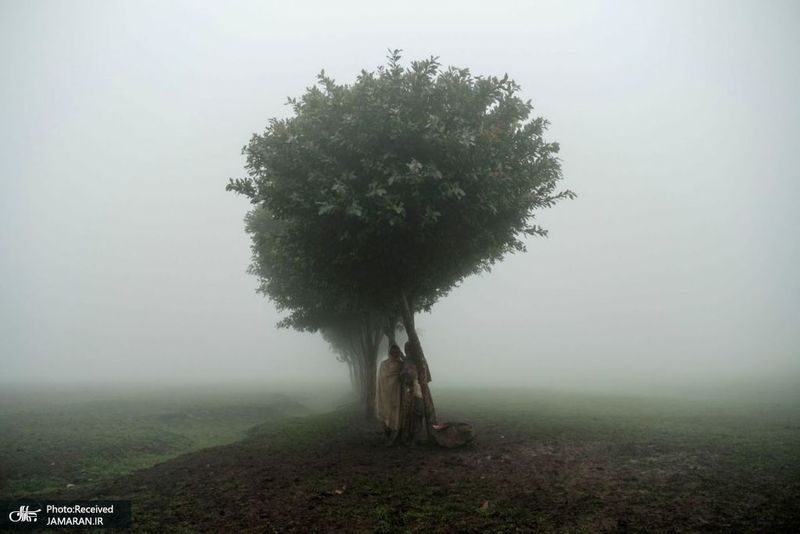 منتخب تصاویر امروز جهان- 23 تیر 1400