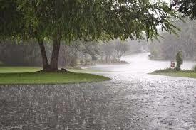 بارش ها از بعدازظهر امروز در استان تشدید می شود