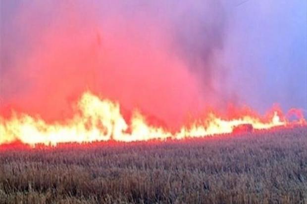 کشاورز ملایری در آتش سوخت