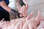 توزیع 20 تن مرغ منجمد در آستارا آغاز شد