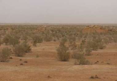 31هزار هکتار از کانونهای فرسایش بادی در استان بوشهر تثبیت شد