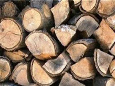کشف 2 تن چوب قاچاق بلوط در شهرستان لردگان