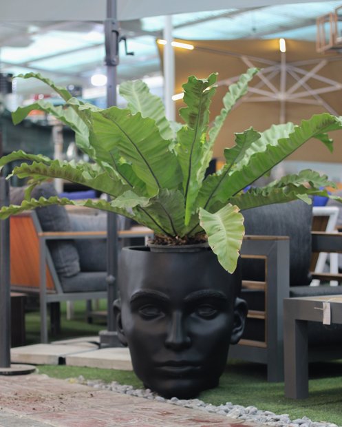 پرفروش ترین گلدان های فایبرگلاس هانی گل