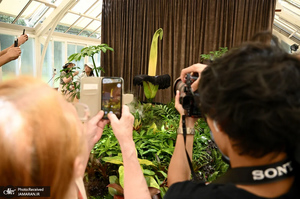 منتخب تصاویر امروز جهان - 5 و 6 بهمن 1403