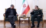 محسن رضایی در دیدار وزیر کشور پاکستان: ایران و پاکستان عقبه راهبردی یکدیگر هستند/ دولت، ارتش و ملت پاکستان را از سرمایه‌های بزرگ جهان اسلام می‌دانیم