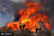 کالیفرنیا 72 ساعت است در آتش می سوزد+ تصاویر