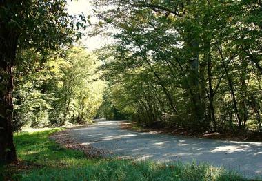 پارک جنگلی آلاشت مازندران در انتظار سرمایه گذار