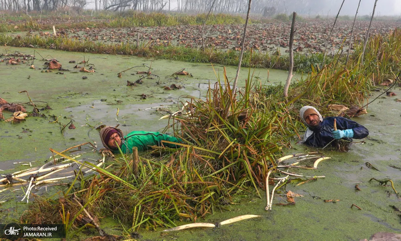 منتخب تصاویر امروز جهان - 15 آذر 1401