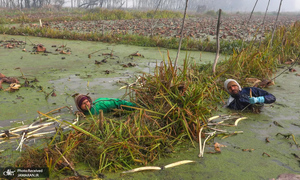 منتخب تصاویر امروز جهان - 15 آذر 1401