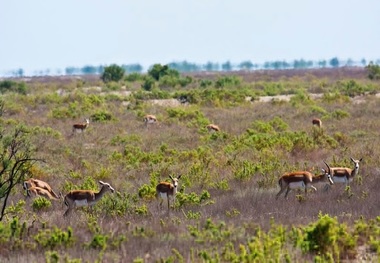 استاندارخراسان شمالی گلیل و سرانی شیروان را به عنوان زیستکره تایید کرد