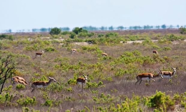 استاندارخراسان شمالی گلیل و سرانی شیروان را به عنوان زیستکره تایید کرد