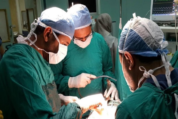 530 عضو بیماران مرگ مغزی در کهگیلویه و بویراحمد اهدا شد