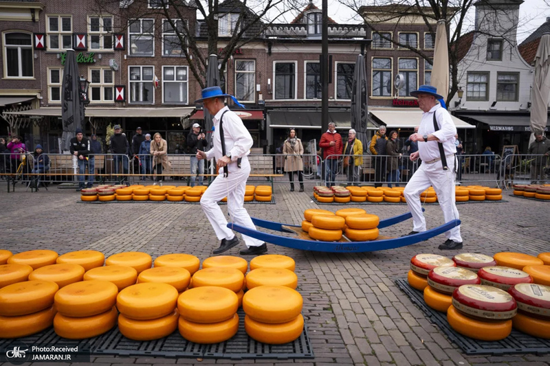 منتخب تصاویر امروز جهان - 8 و 9 فروردین 1404