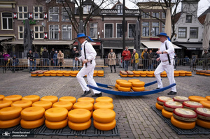 منتخب تصاویر امروز جهان - 8 و 9 فروردین 1404