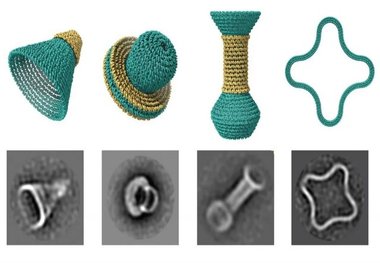 کوزه‌گری با DNA!
