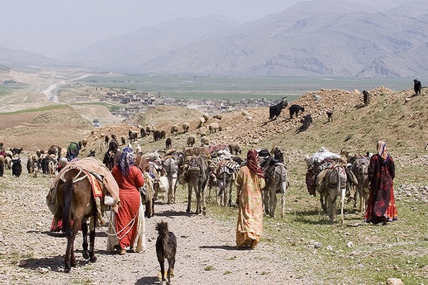 480 خانوار عشایری نقده به خارج از شهرستان کوچ می کنند