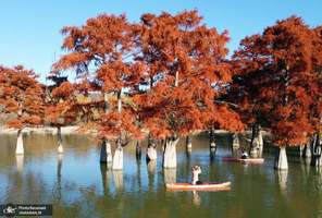 منتخب تصاویر امروز جهان- 15 آبان 1400