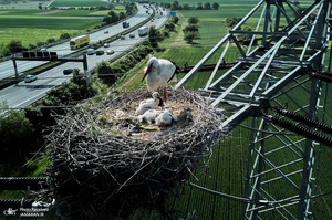 منتخب تصاویر امروز جهان - 26 و 27 اردیبهشت 1404