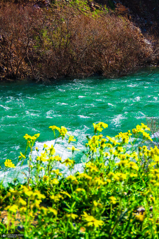 طبیعت بکر و بی‌نظیر نودشه