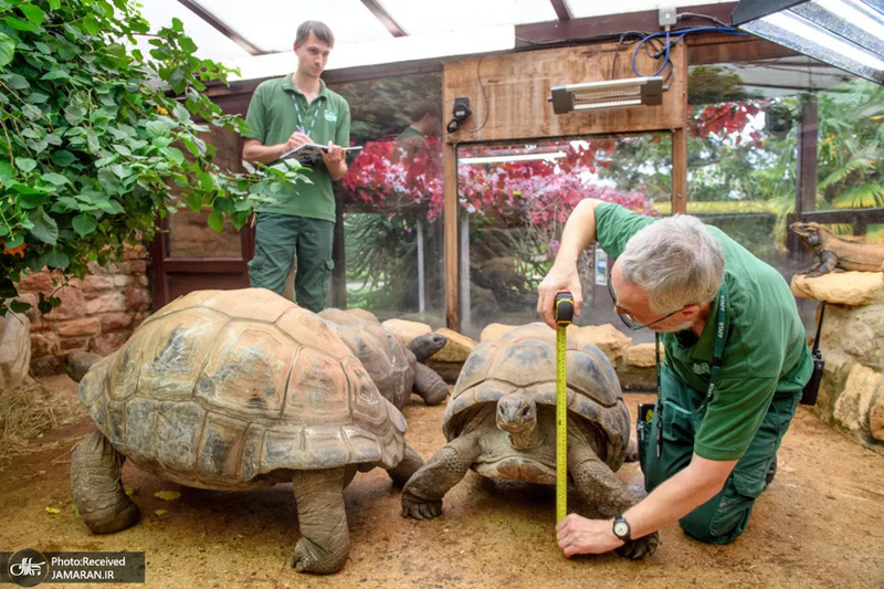 منتخب تصاویر امروز جهان - 23 مهر 1401