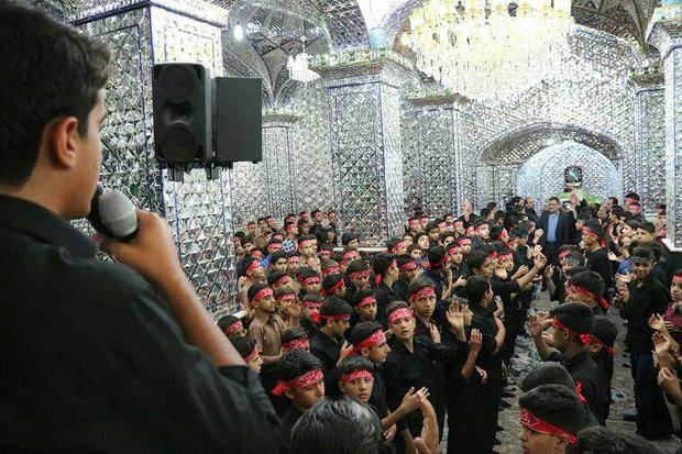 11 هزار دانش آموز در برنامه های فرهنگی امامزادگان استان یزد شرکت کردند