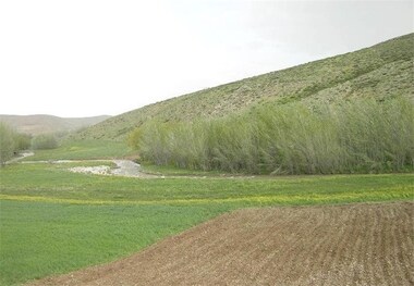 10هزار و535 مترمربع از اراضی ملی تهران رفع تصرف شد