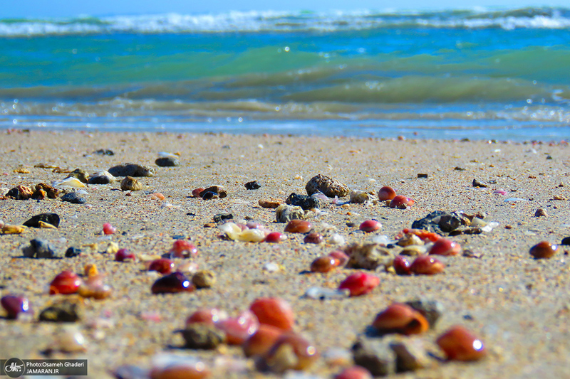 جزایر ناز یکی از عجایب هفتگانه قشم