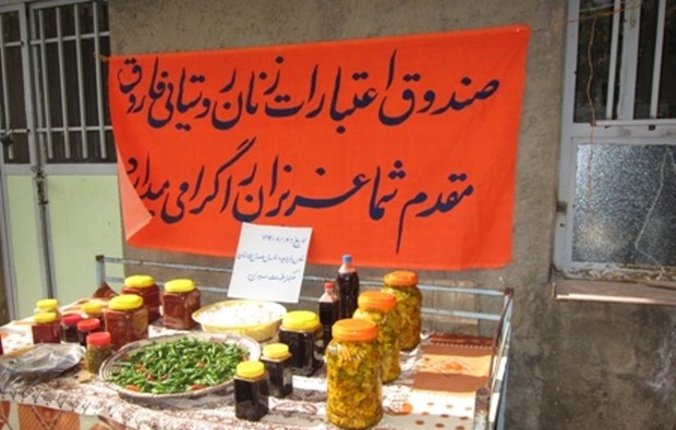 حامی کارآفرینان و سرمایه گذاران در روستاهای فارس هستیم