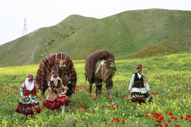 مدیرکل امور عشایری: عشایر سمنان درصدد افزایش 25 درصدی تولید گوشت هستند