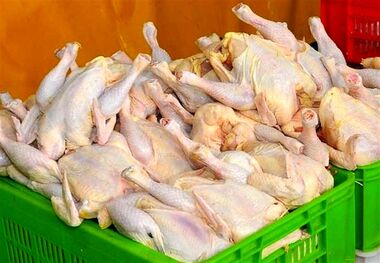 جزییات تخلف در مراکز توزیع گوشت مرغ + جدول قیمت محصولات پروتئینی در بازار 